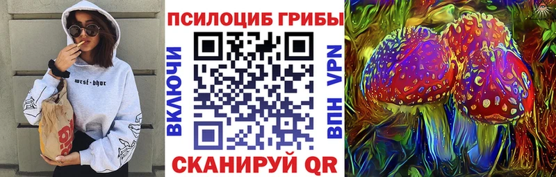 Галлюциногенные грибы Psilocybe  Сковородино 